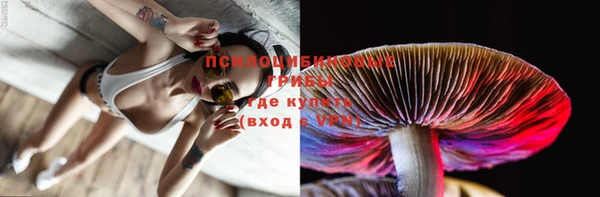 гашик Елабуга
