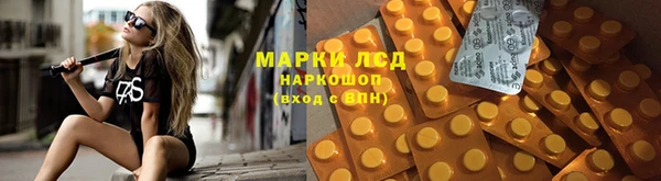 гидропоника Ельня