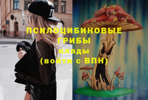 гашик Елабуга