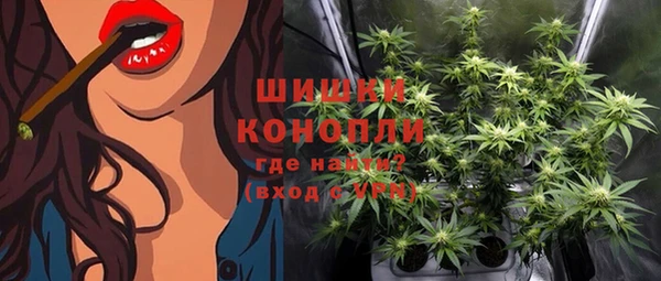 гидропоника Ельня