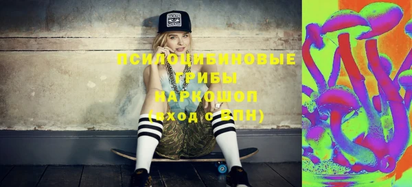 гашик Елабуга